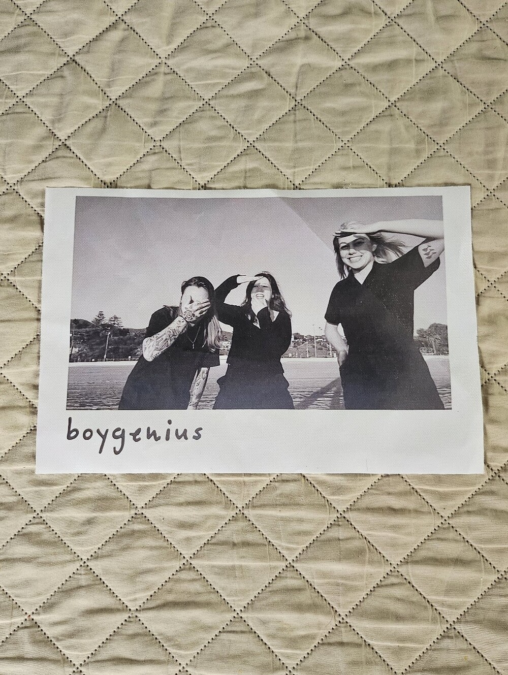 Boysgenius canvas poster 8 x 12 inches